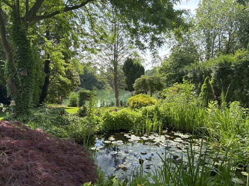 Blick über den Garten mit Naturteich Richtung Haus