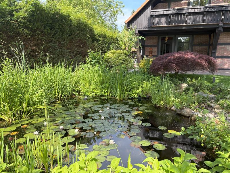 Naturnaher Gartenteich mit Seerosen im Garten des Ferienhauses
