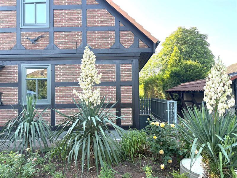 Außenansicht des Ferienhauses Lake House Ternsche